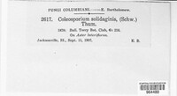 Image Associated With the Occurence